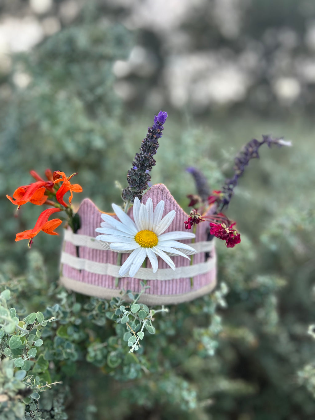 The Adventure Crown™