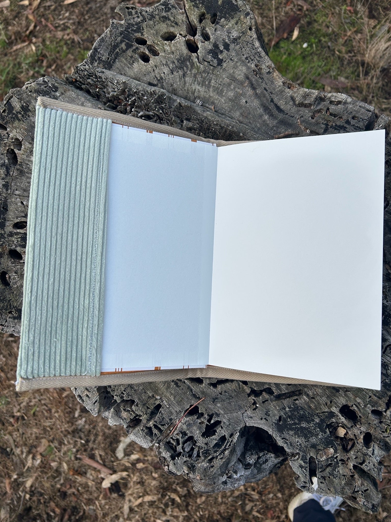 The Adventure Journal